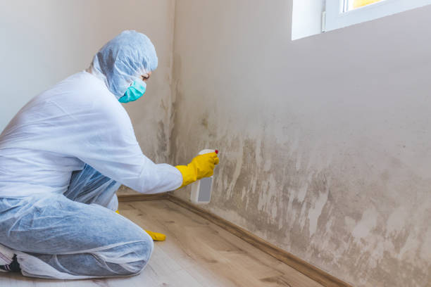 Crawl Space Mold Removal in Camden, OH
