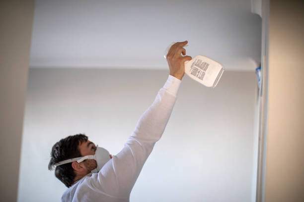 Best Mold Damage Repair  in Camden, OH