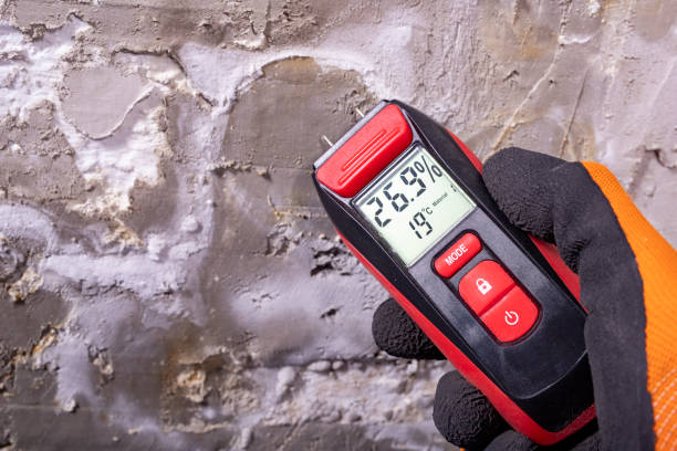 Best Commercial Mold Removal  in Camden, OH