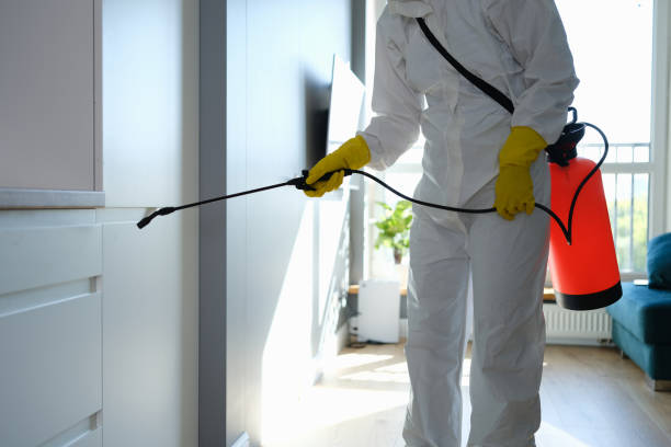 Best Office Mold Removal Services  in Camden, OH