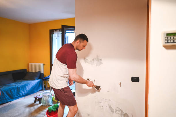 Best Professional Mold Removal  in Camden, OH
